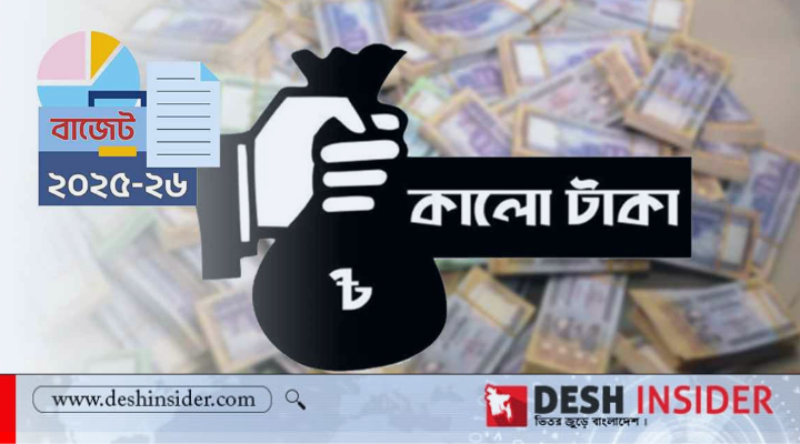 কালো টাকা সাদা, বাজেট